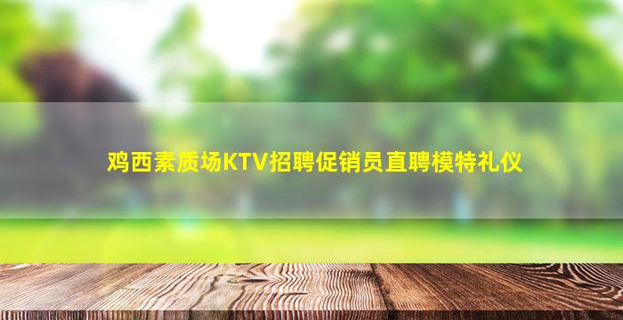 鸡西素质场KTV招聘促销员直聘模特礼仪